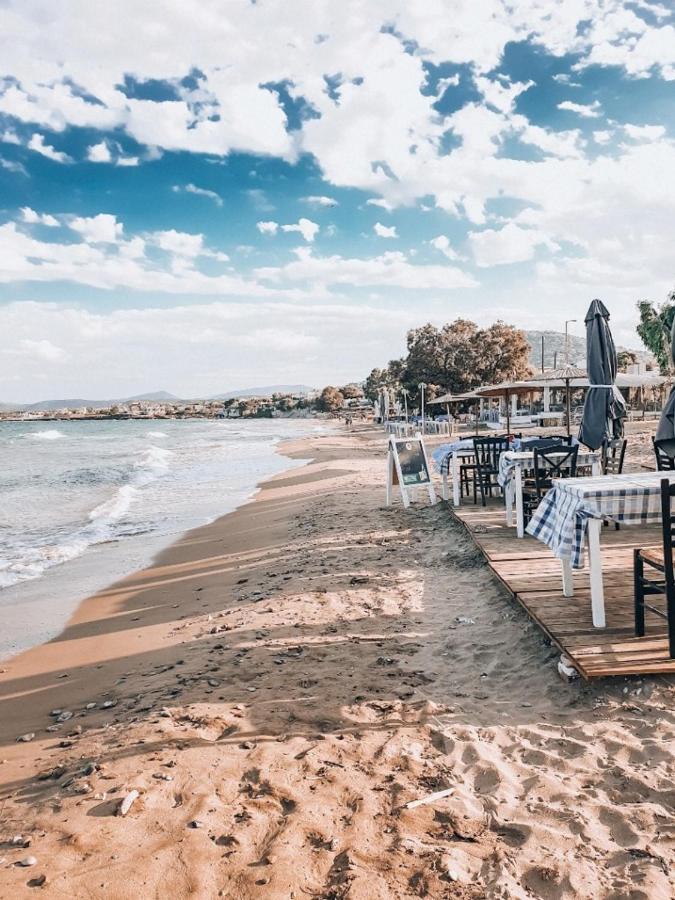 Athens Villa Artemis Pool Sea Airport 외부 사진